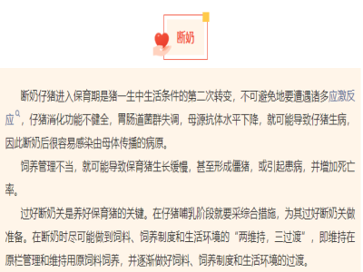 想要小猪少生病？养殖朋友需要重视的4点!