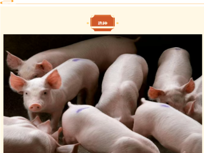 【饲养管理】从选种到出栏，教你如何成功养好猪！