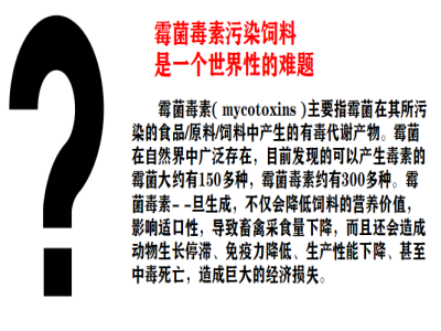 【霉菌知识】赭曲霉毒素——肾脏系统的超级威胁！