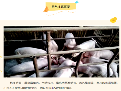 【养猪管理】秋冬季养猪注意事项！