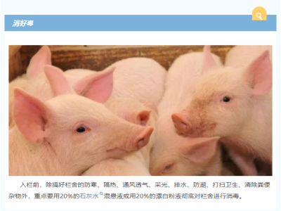养猪把“八关”，百日可出栏