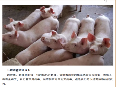 怎样预防猪流行性感冒？