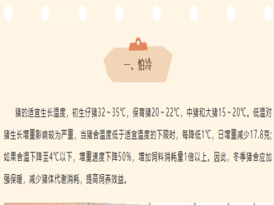 冬季养猪注意要点：猪有“五怕”