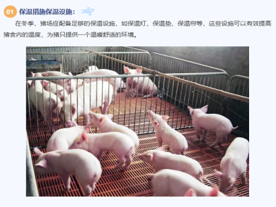 冬季猪场通风和保温该如何平衡？