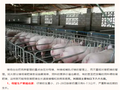 【养猪小知识】育肥猪长的慢这8个原因成了罪魁祸首