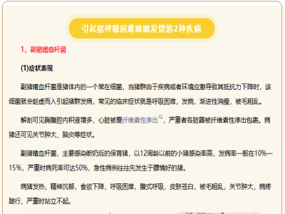 猪发烧喘气咳嗽不吃食是什么原因？