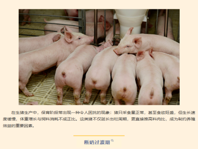 猪光吃不长、料肉比居高不下？如何改善？