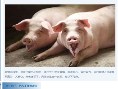 养猪的这7大忌讳，你需要注意一下！