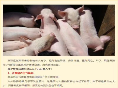 猪场应激伤不起！如何降低应激所带来的损失？