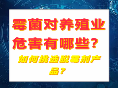 霉菌毒素对养殖业危害有哪些？如何挑选好的脱霉剂呢？
