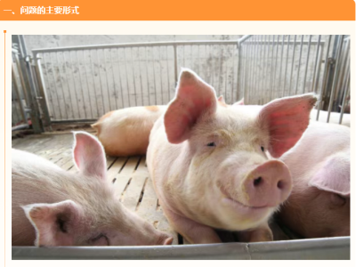 高烧、母猪流产频发，究竟是什么问题？