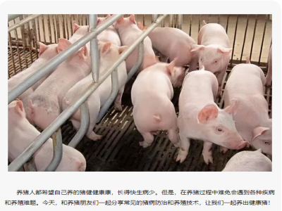 了解这些猪病防治和养殖技术 让你轻松养出健康猪！