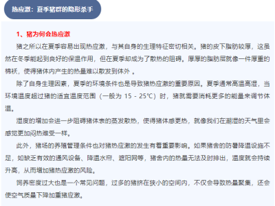 夏季热应激给猪带来的危害有哪些？