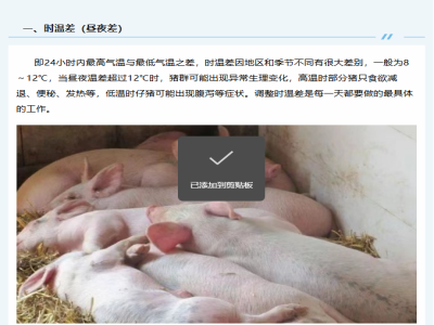温差对猪生长的影响，你了解多少？