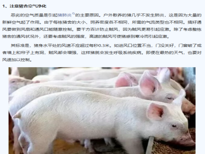 减少猪群应激的管理方法