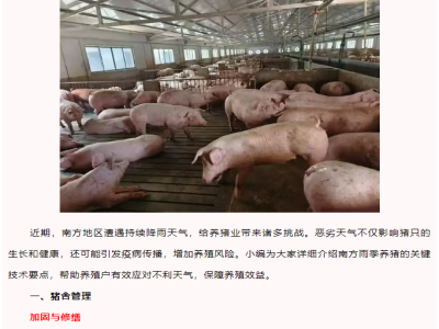 持续暴雨，养猪人要警惕这几点！管理更是要注意
