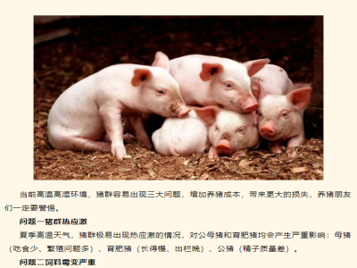 夏季高温高湿养猪警惕三大问题