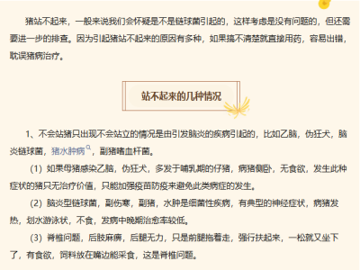 猪站不起来，是链球菌惹得祸？未必！