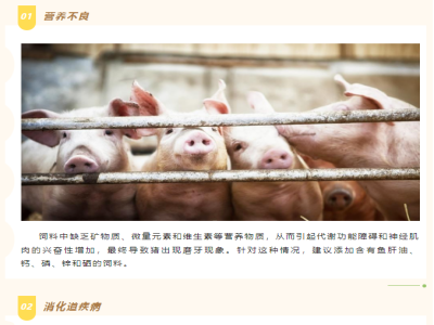 猪磨牙是哪些原因造成的？
