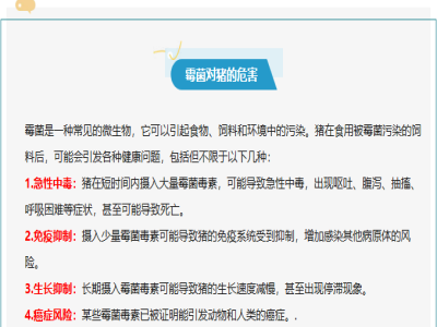 【霉菌知识】霉菌毒素对猪有什么危害？