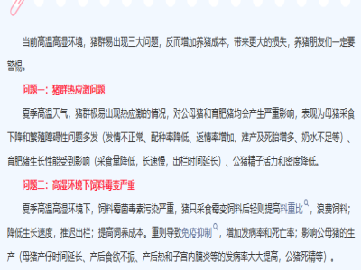 高温、高湿！夏季养猪双高环境下一定做好这三“防”
