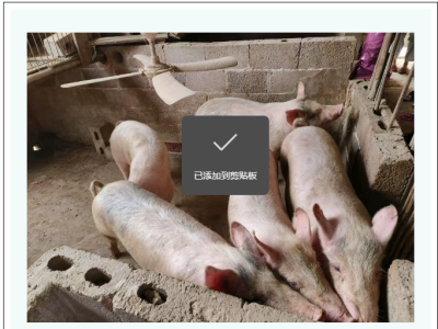 冬季谨防这两类因素，影响猪群健康