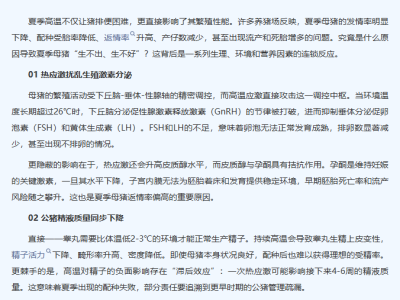 夏天母猪发情差、产仔少、易流产？怎么办？