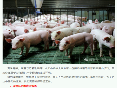 猪场如何做好降温与防暑管理？